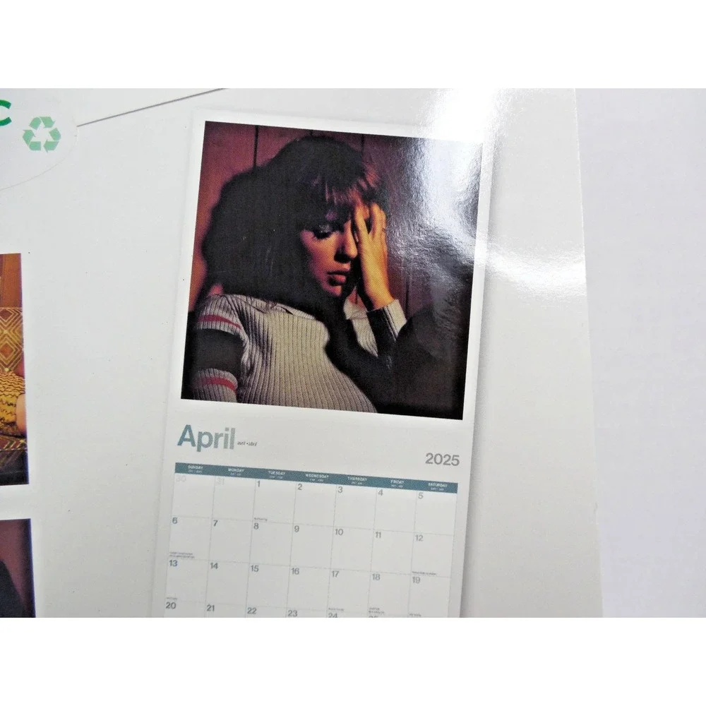 Taylor Swift Official 2025 Monthly Wall Calendar NEW SEALED 12